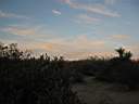 102-0292_IMG.JPG