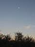 102-0293_IMG.JPG