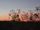 102-0294_IMG.JPG
