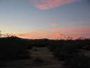 102-0295_IMG.JPG