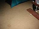102-0297_IMG.JPG
