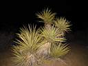 102-0299_IMG.JPG