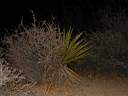102-0300_IMG.JPG