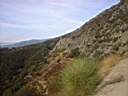 DSCF3703.JPG