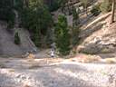 DSCF3704.JPG